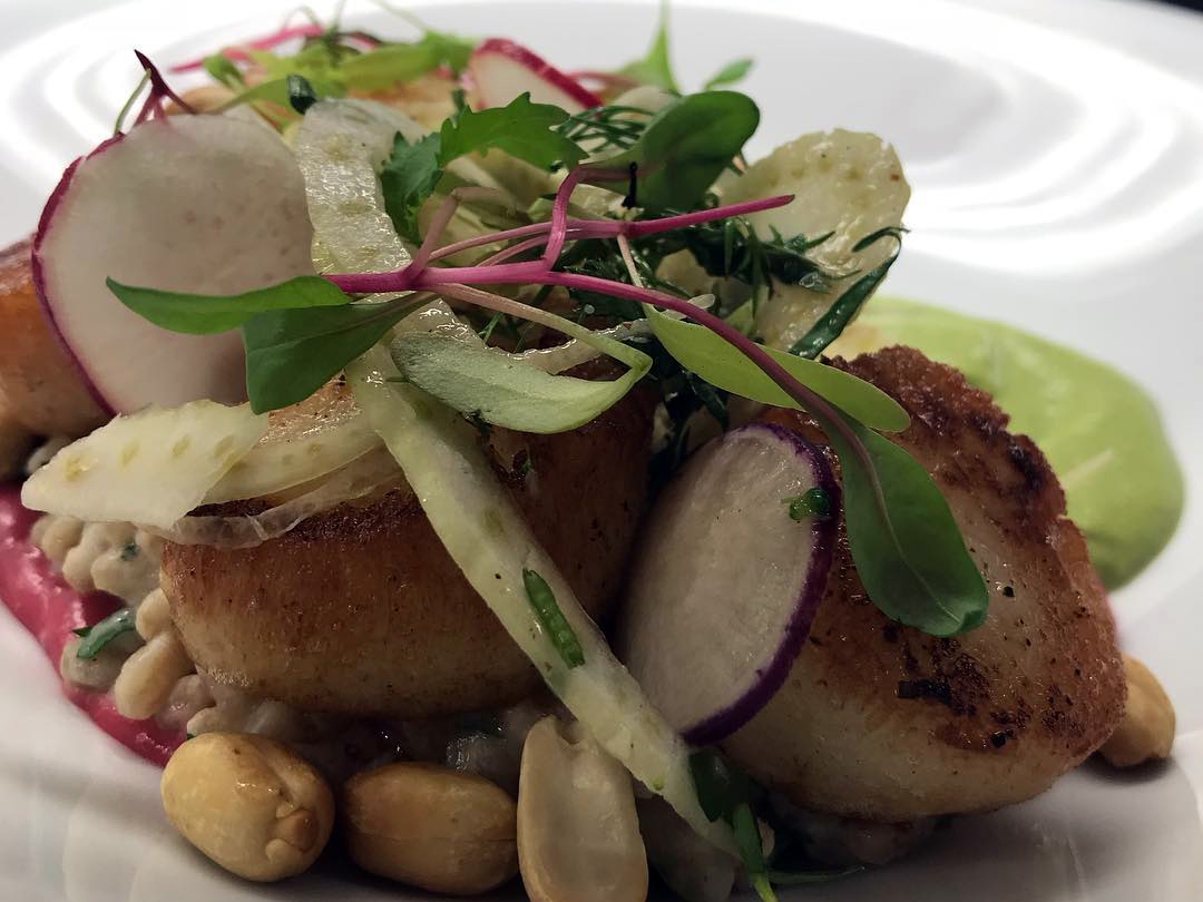 Manna Restaurant Scallops