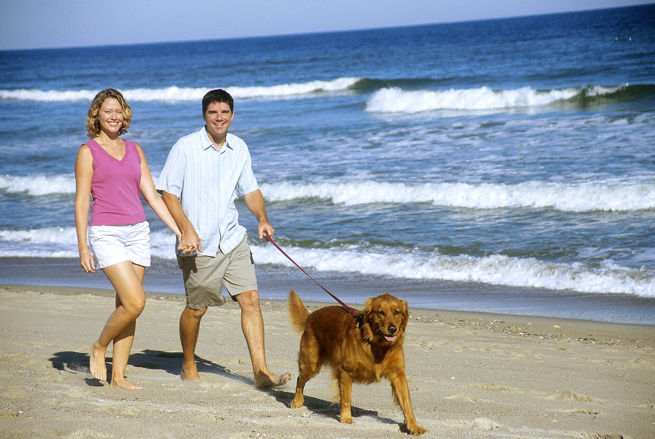 Couple walking their Dog on the beach in North Carolina