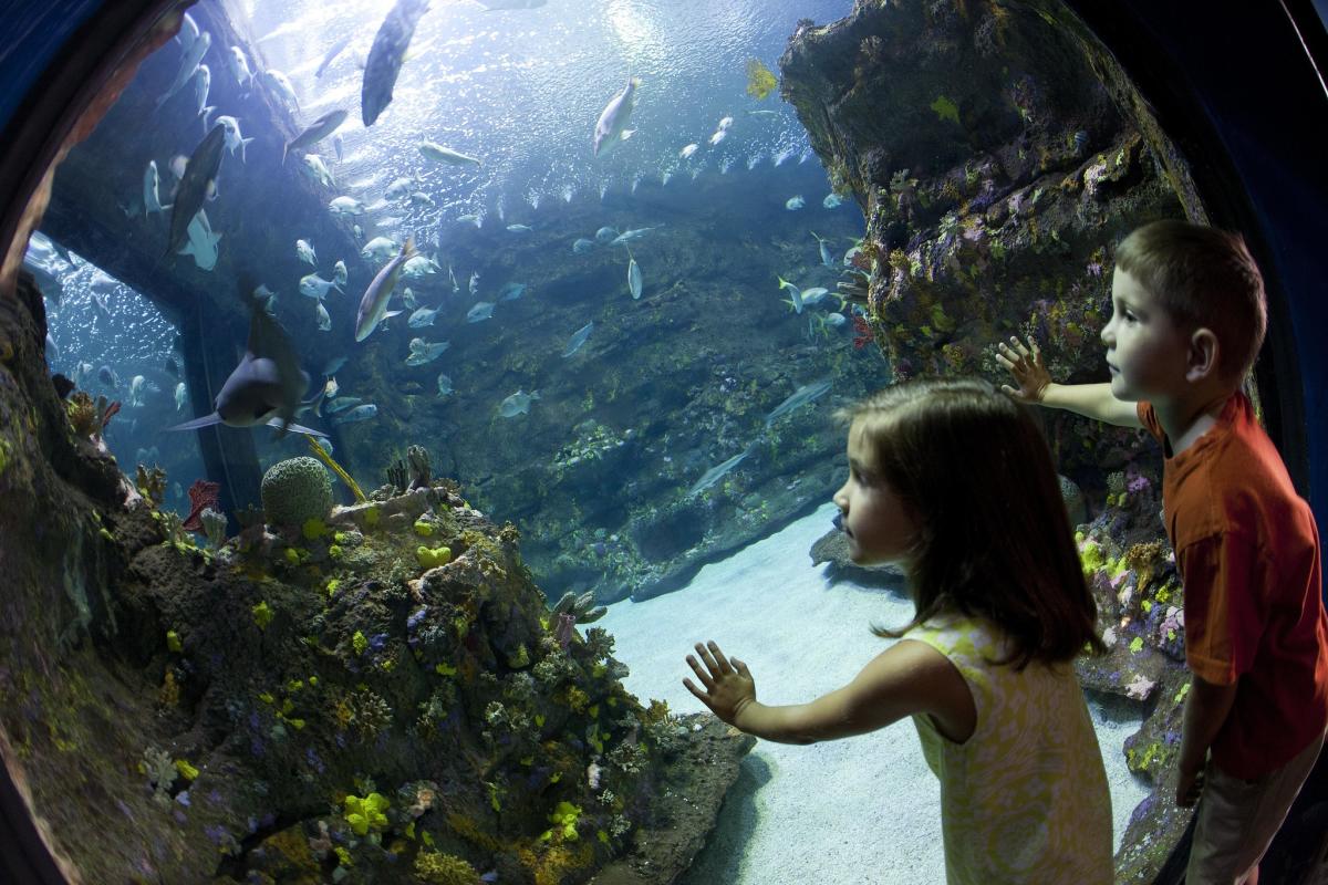 North Carolina Aquarium