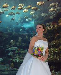 Bride at Aquarium vertical