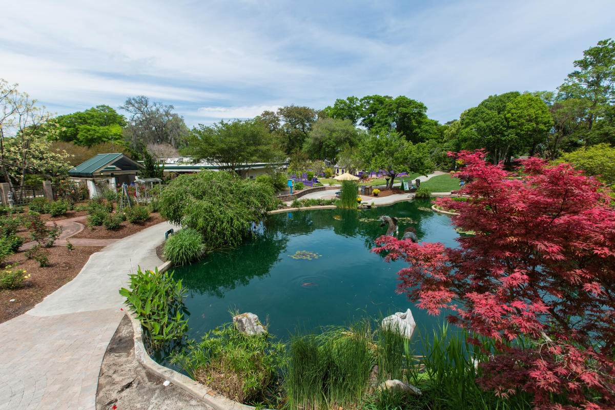 Koi pond and greenery at the New Hanover County Arboretum in Wilmington, NC