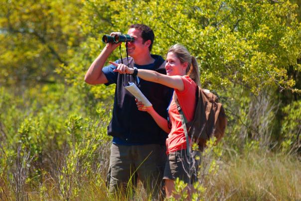 Carolina Beach State Park Birding Trail