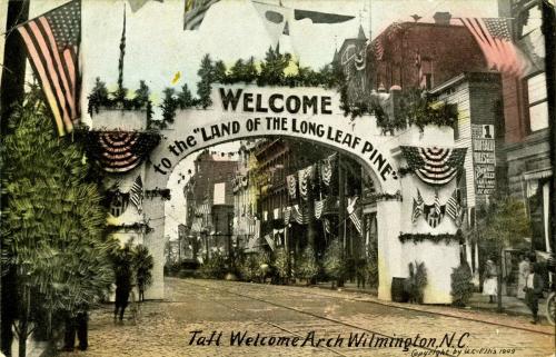 CF Museum - Long Leaf Pine arch image 1909