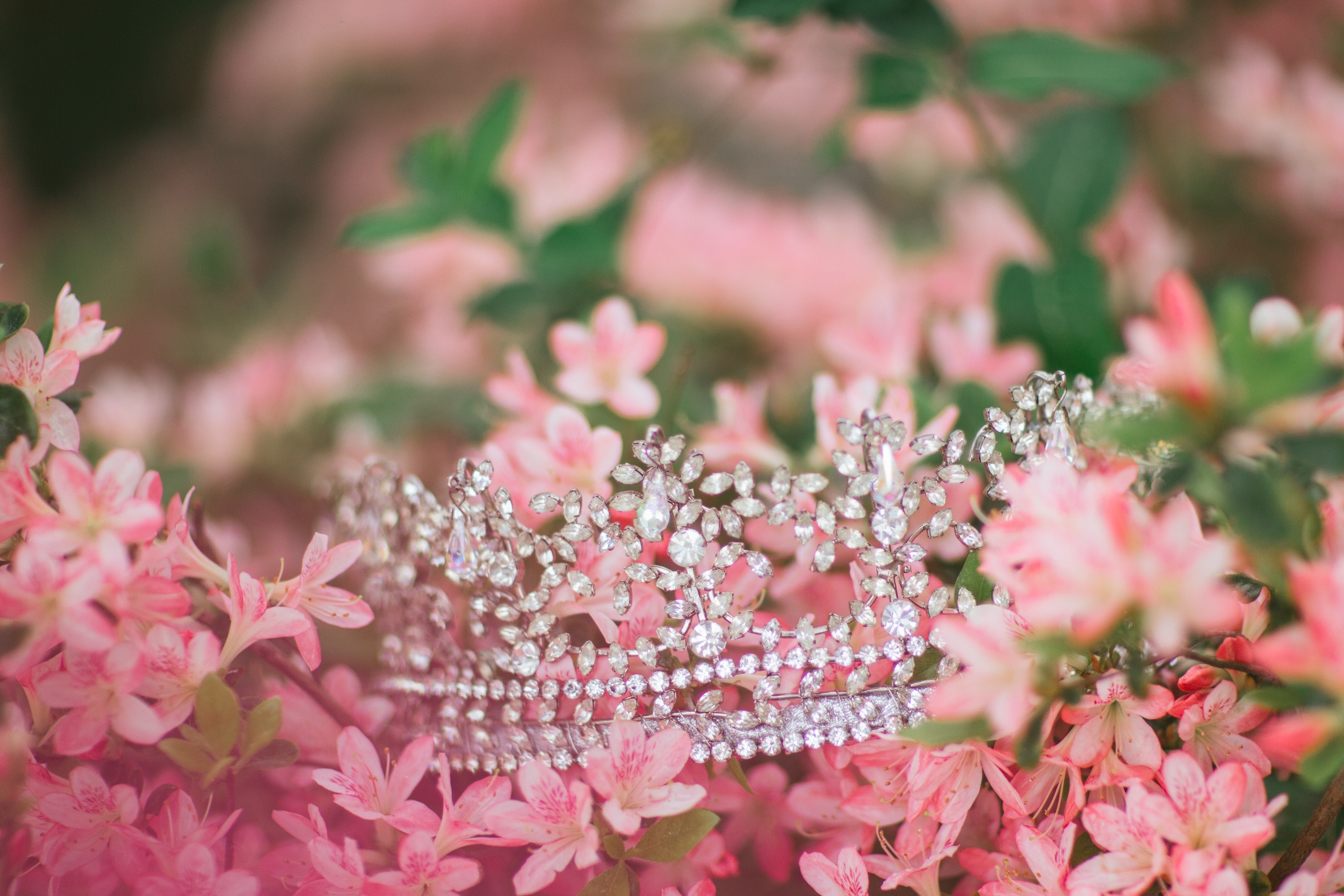 Queen's Crown from Azalea Festival