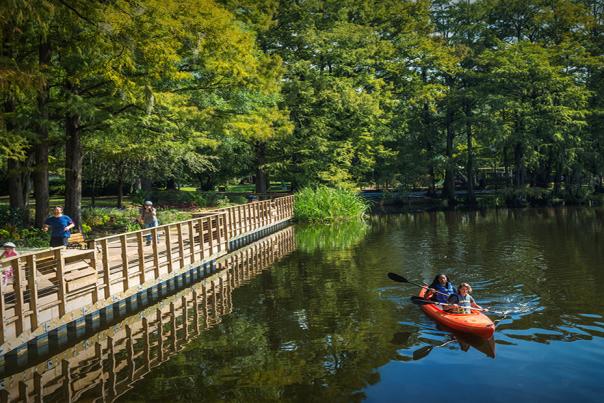 Greenfield Lake Fall