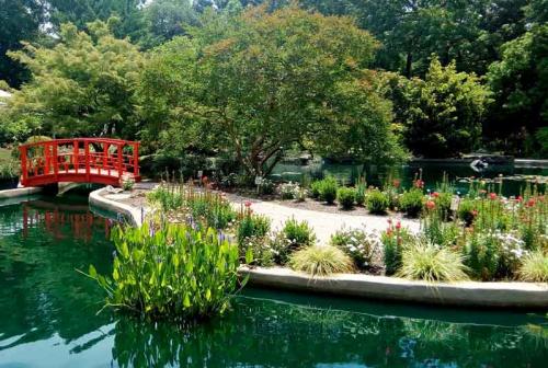 NHC Arboretum bridge