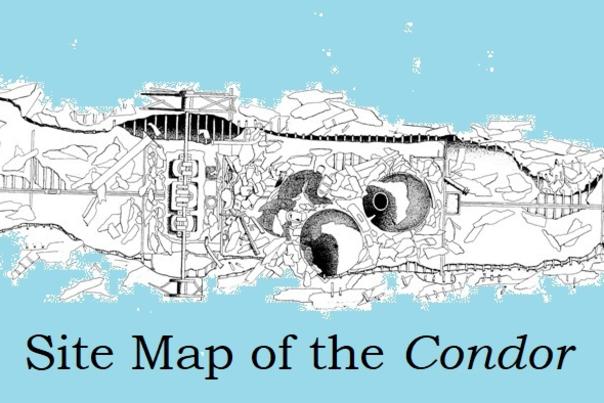 Site Map of the wreckage of the Condor