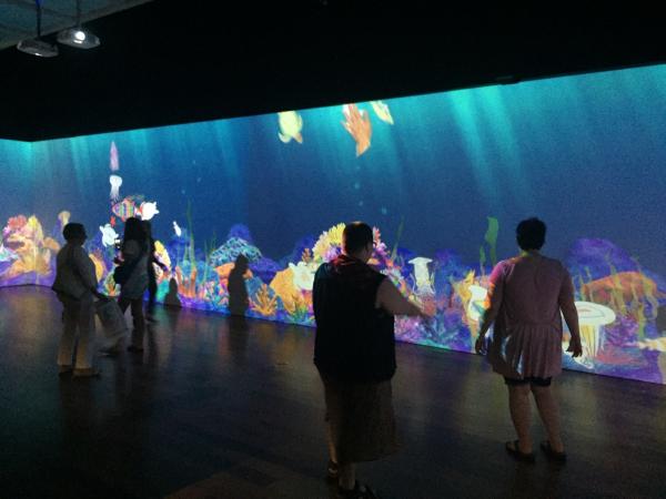 "Sketch Aquarium" exhibit at Cameron Art Museum