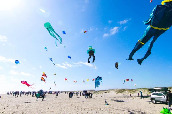 Kite Festival