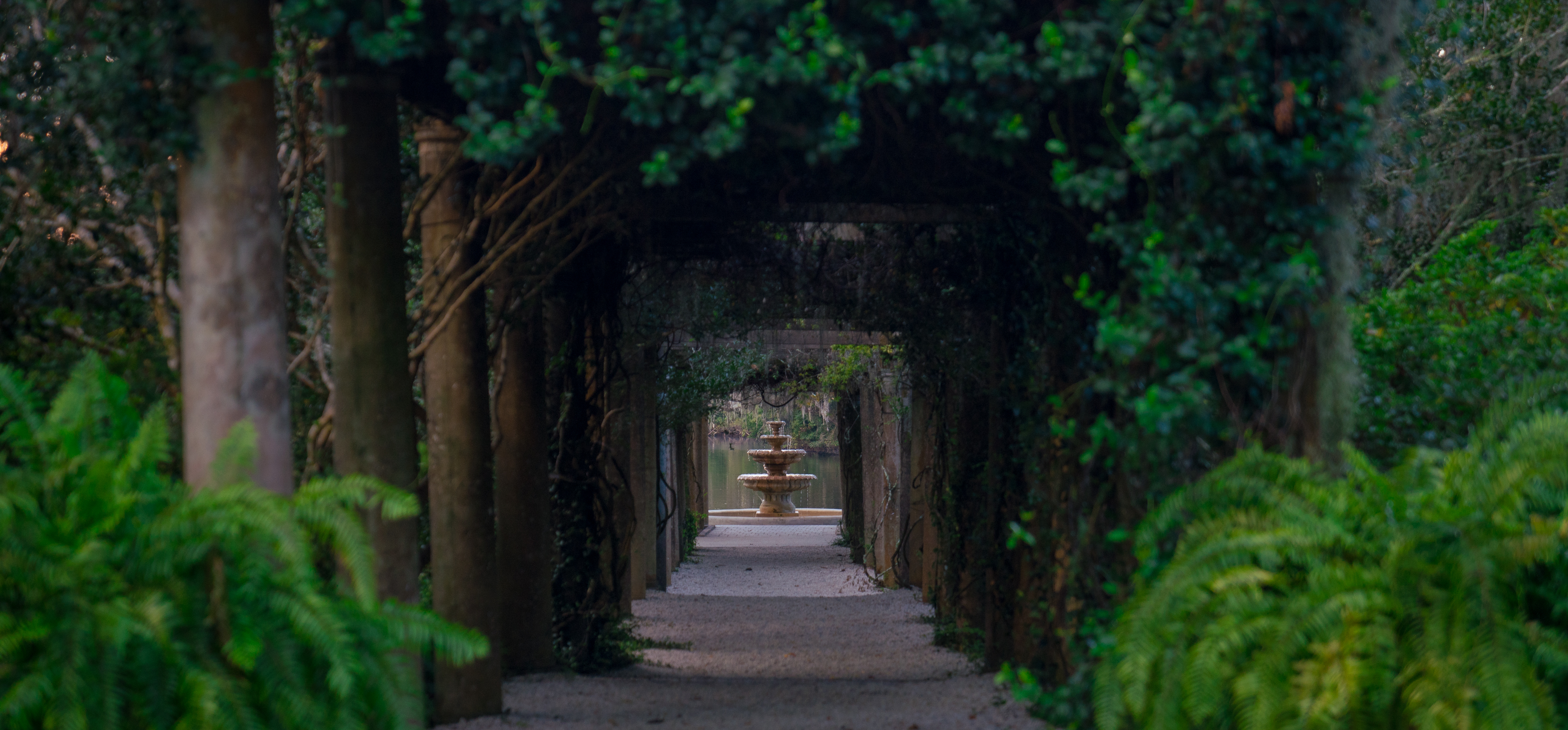 Airlie Gardens Fountain pathway lined with arches and trees